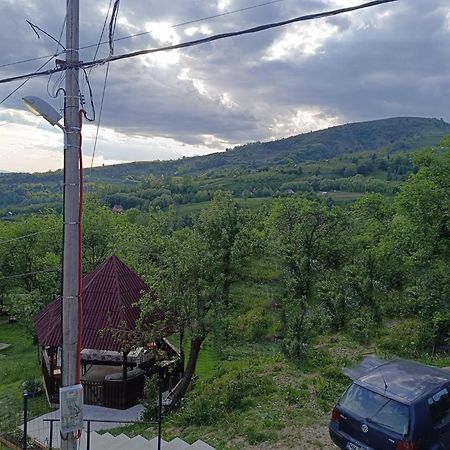 Casuta Din Livada Moisei Exterior foto
