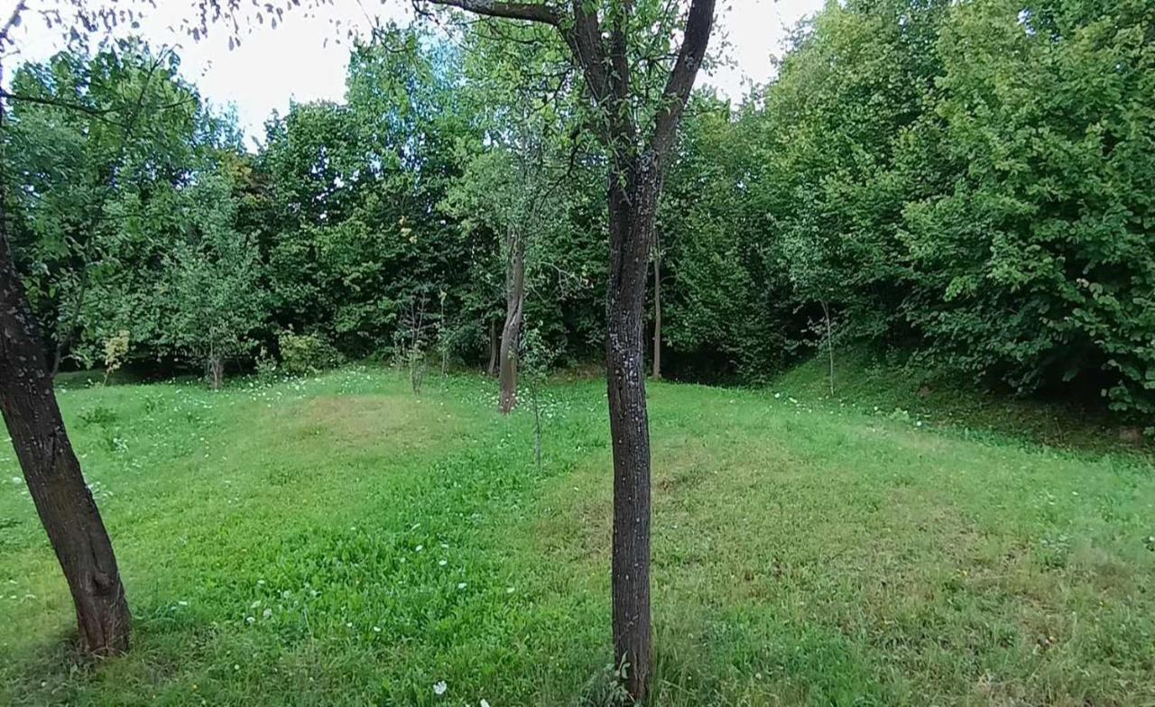 Casuta Din Livada Moisei Exterior foto