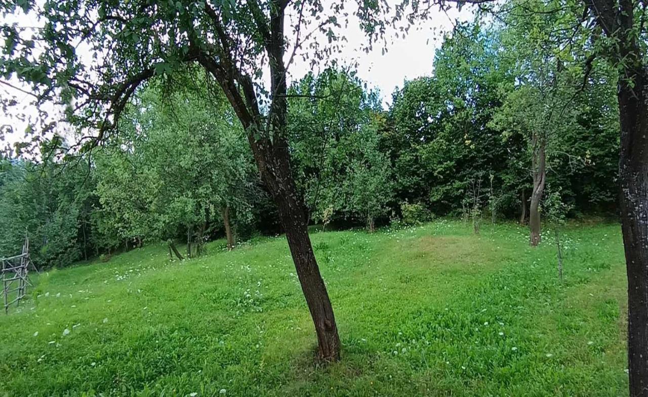 Casuta Din Livada Moisei Exterior foto