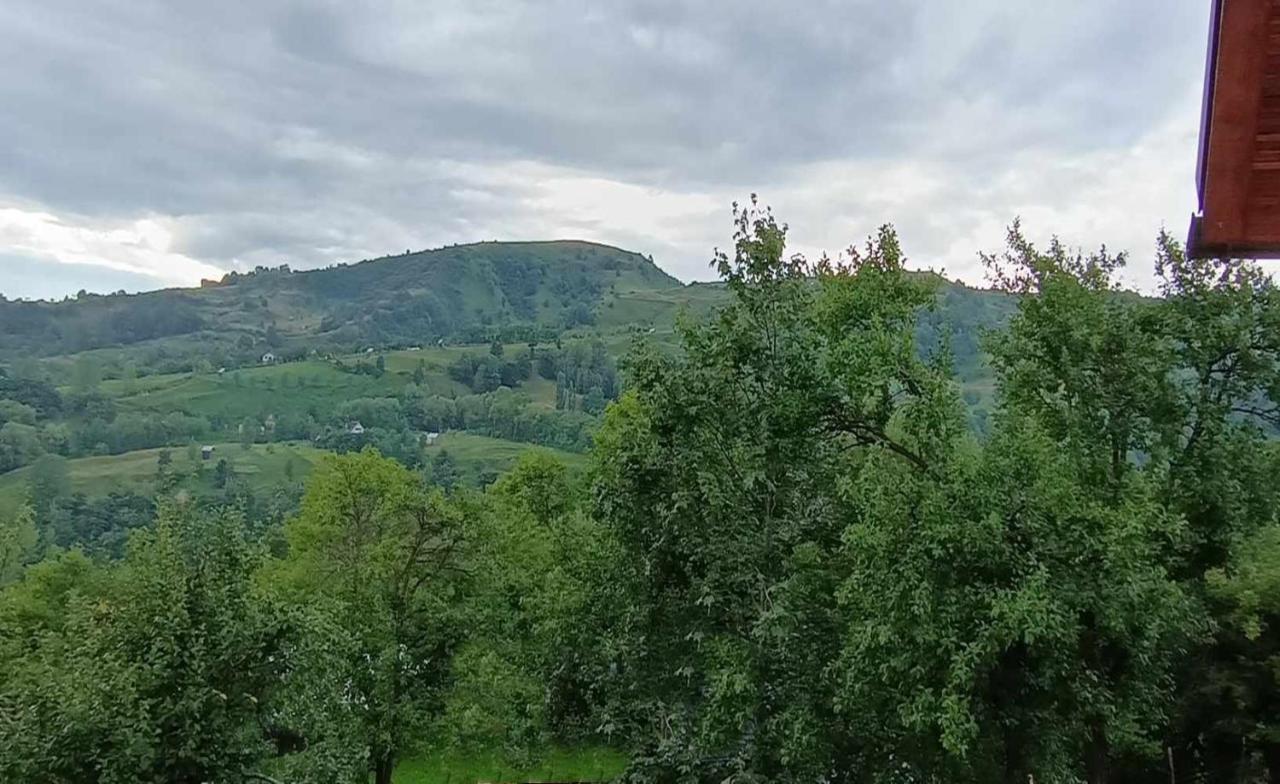 Casuta Din Livada Moisei Exterior foto