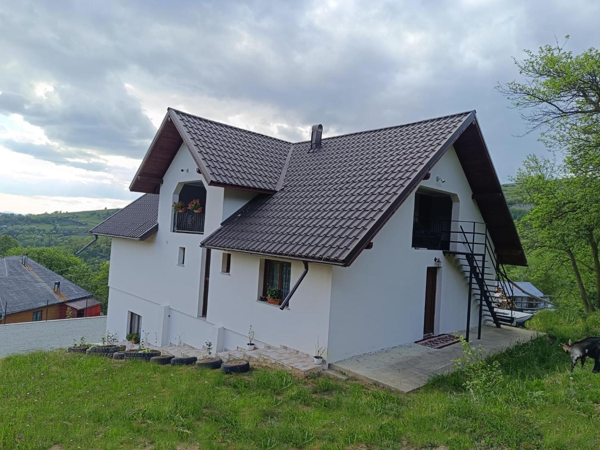 Casuta Din Livada Moisei Exterior foto
