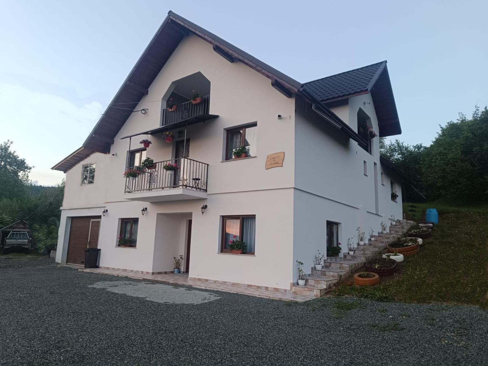 Casuta Din Livada Moisei Exterior foto